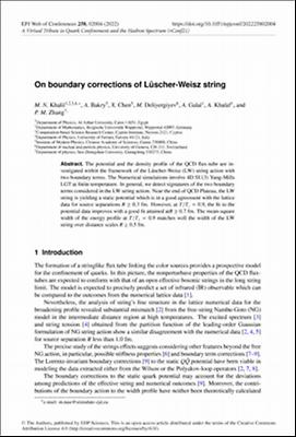On boundary corrections of Lüscher-Weisz string.pdf.jpg