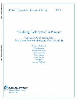 Building-Back-Better-in-Practice-A-Science-Policy-Framework-for-a-Green-Economic-Recovery-after-COVID-19.pdf.jpg